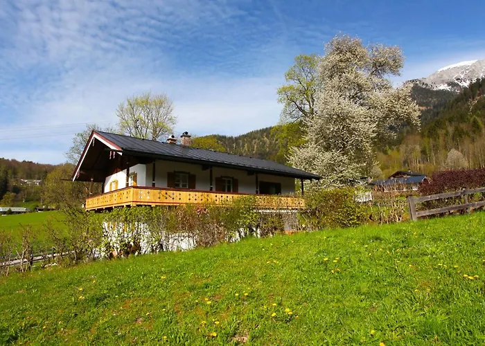 Alpenblume Koenigssee