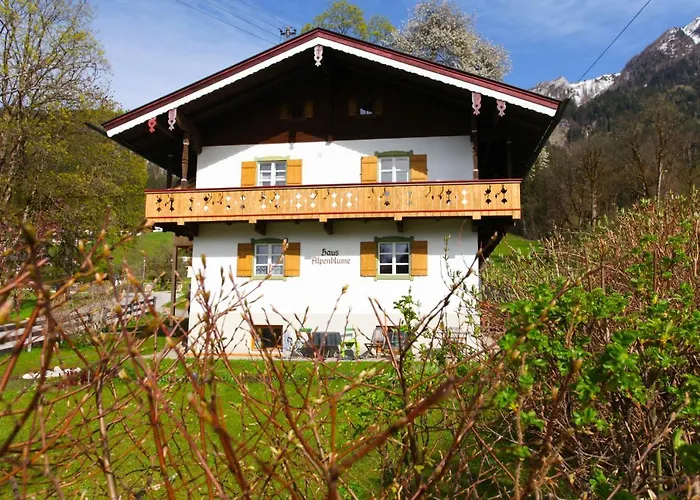 Alpenblume Koenigssee *
