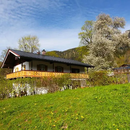 Alpenblume Koenigssee