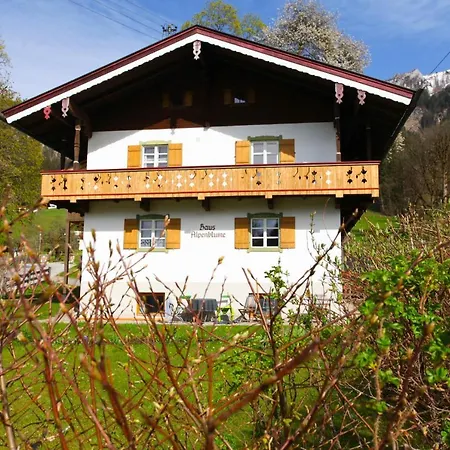 Alpenblume Koenigssee *